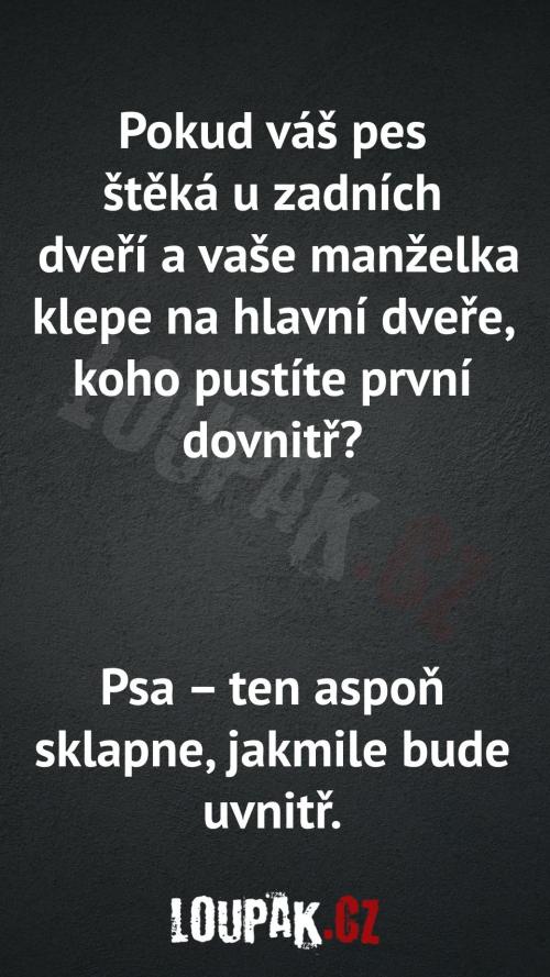  Vybrat si psa nebo manželku? 