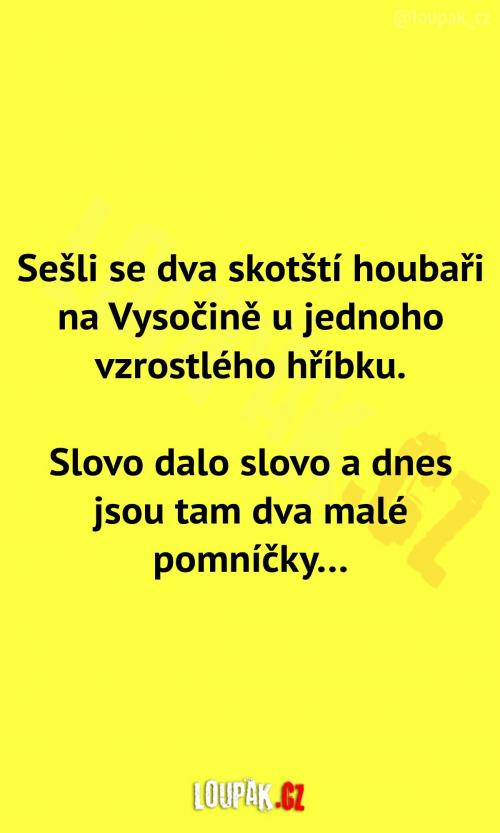  Sešli se dva Skotové na houbách 