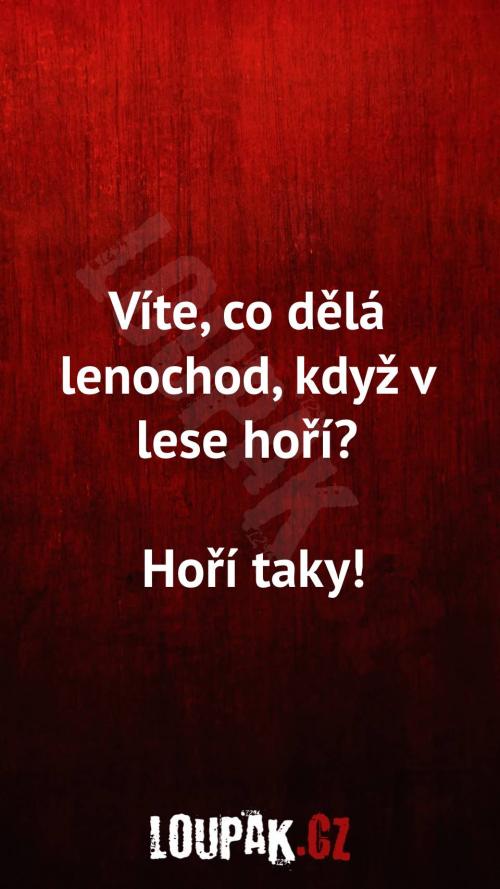  Co dělá lenochod, když v lese hoří 