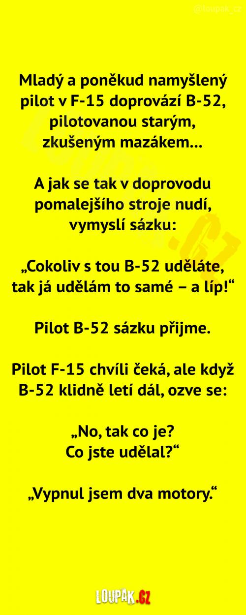  Jeden namyšlený a jeden zkušený pilot 