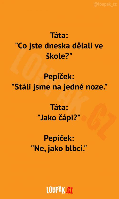  Zajímavá náplň činnosti ve škole 