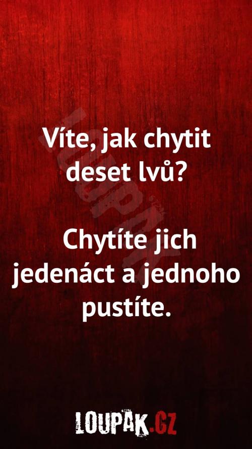  Jak chytit deset lvů... 