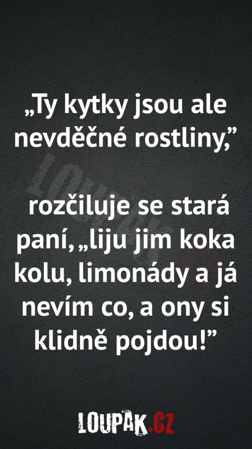  Proč kytky jsou nevděčné 