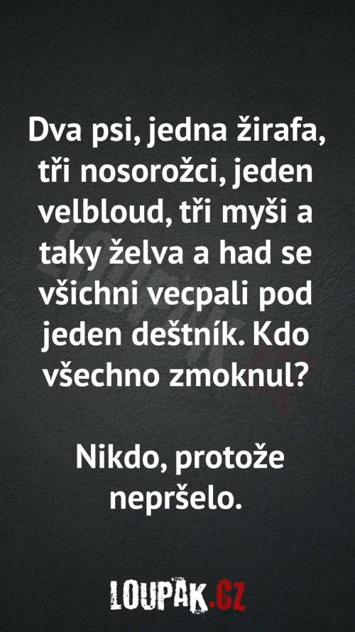  Proč zvířata snáší déšť stejně jak lidi 