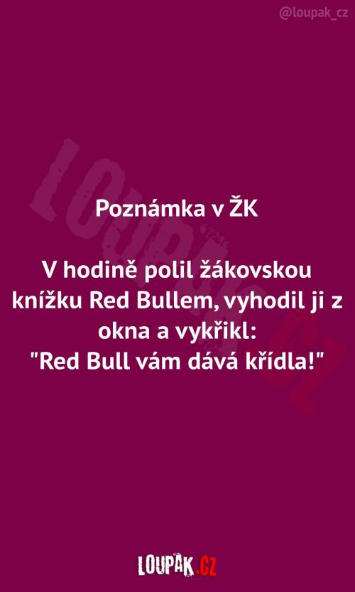  Žákovská politá Red Bullem 