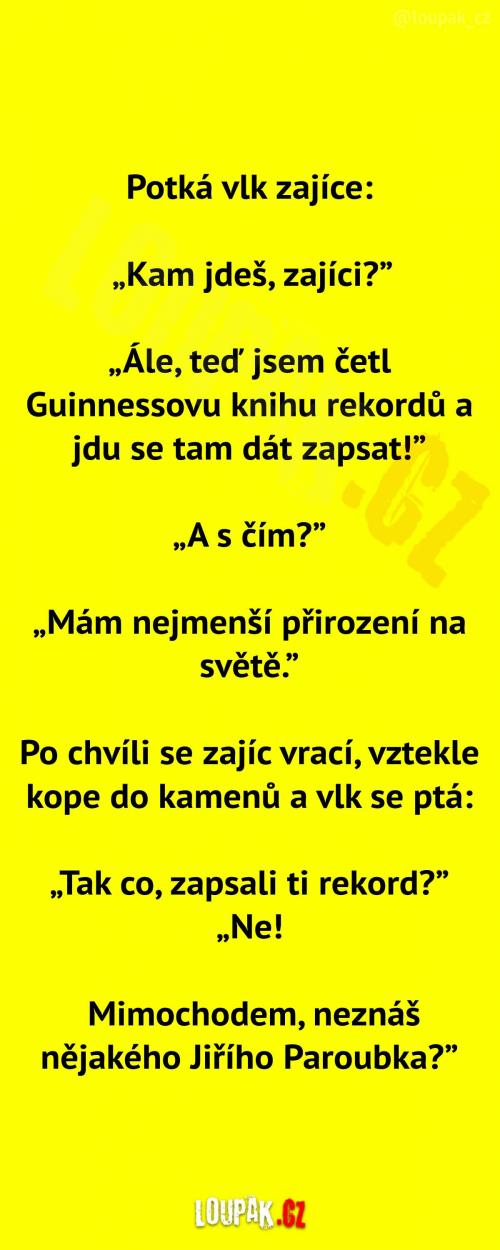  A zase ten vlk a zajíc  