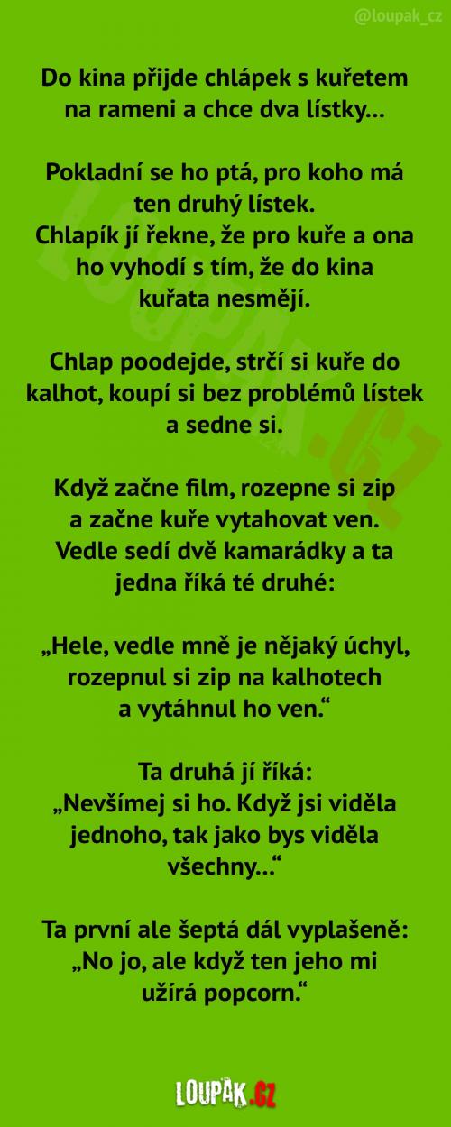  Chlápek s kuřetem v kině 