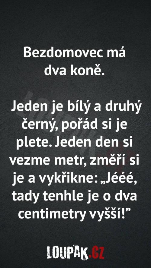 Proč má bezdomovec dva koně