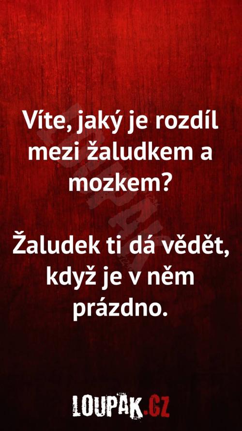 Rozdíl mezi žaludkem a mozkem