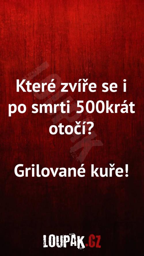  Jaké zvíře se po smrti 500krát otočí 