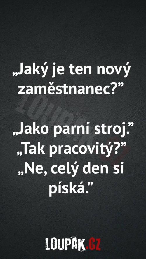 Jaký je ten nový zaměstnanec