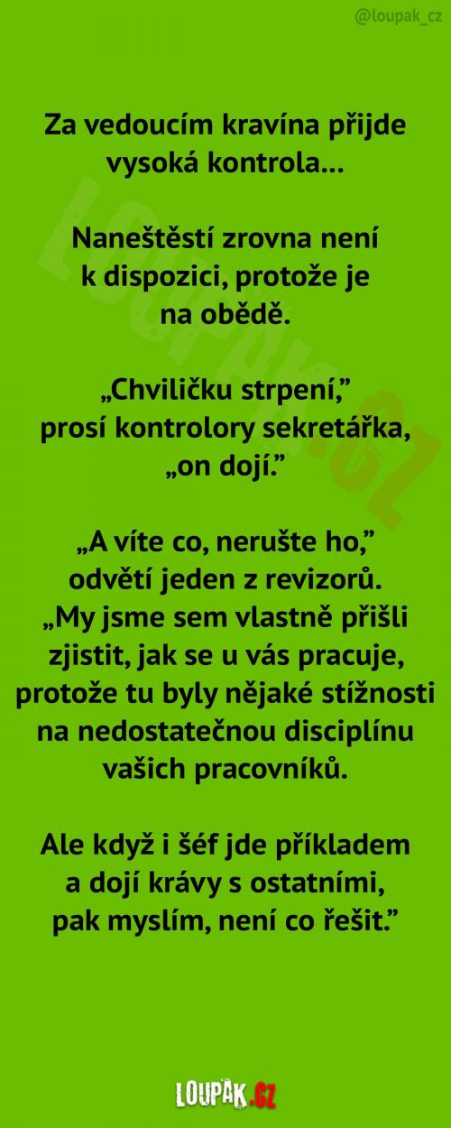 Kontrola v kravínu... Kontrola v kravínu...