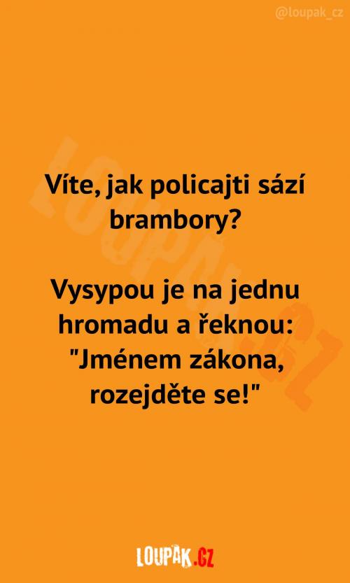 Jak policajti sází brambory