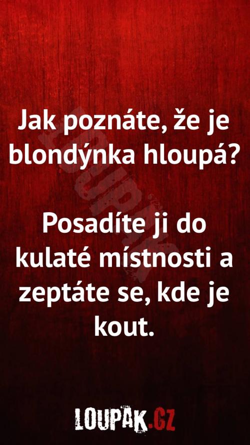  Jak poznáte, že je blondýnka hloupá 