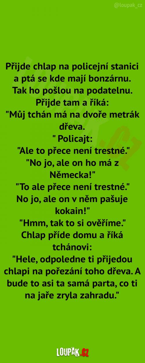 Bonzárna na policejní stanici Bonzárna na policejní stanici