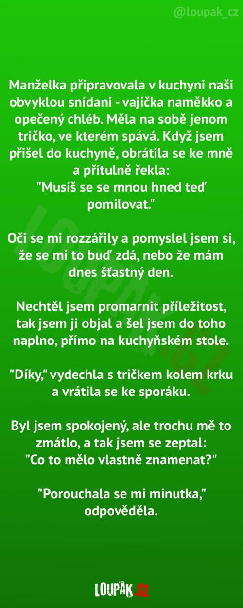  Jak si poradit bez minutky 