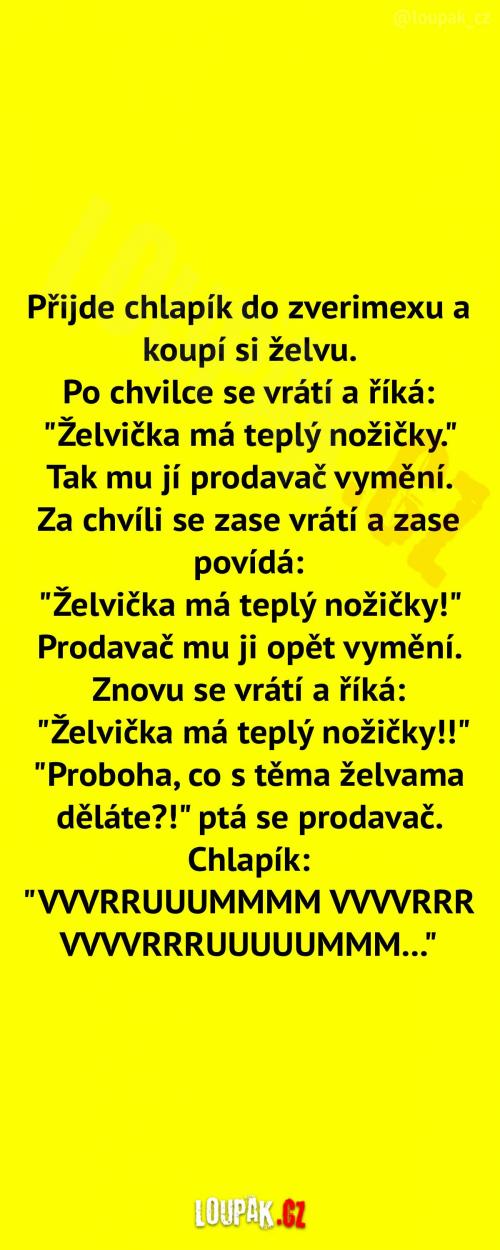 Chlapík ve zverimexu   Chlapík ve zverimexu