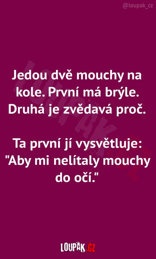 Dvě mouchy jedou na kole