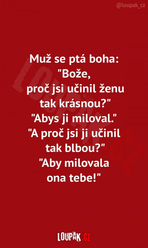  Teď už to všechno dává smysl 