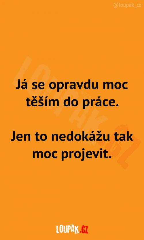  Těším se do práce, ale... 