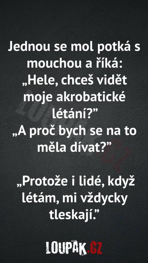 Proč se mol potkal s mouchou Proč se mol potkal s mouchou