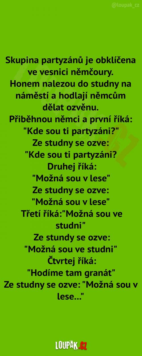 Skupina partyzánů Skupina partyzánů