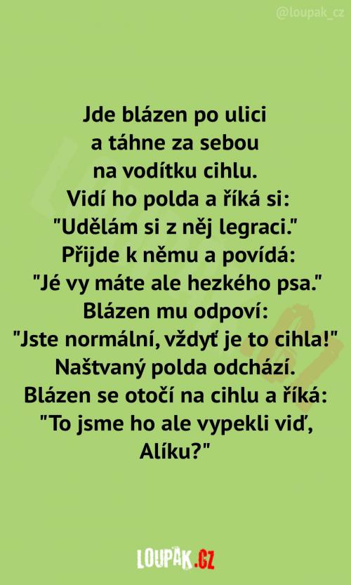 Když si jdeš ráno vyvenčit cihlu: Když si jdeš ráno vyvenčit cihlu: