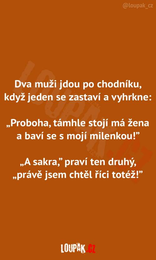  Dva muži na procházce  