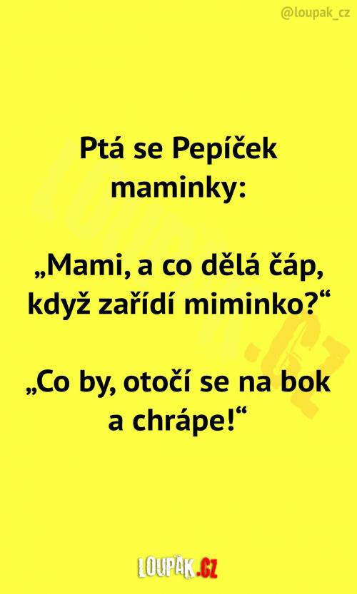 Co dělá čáp, když zařídí miminko?
