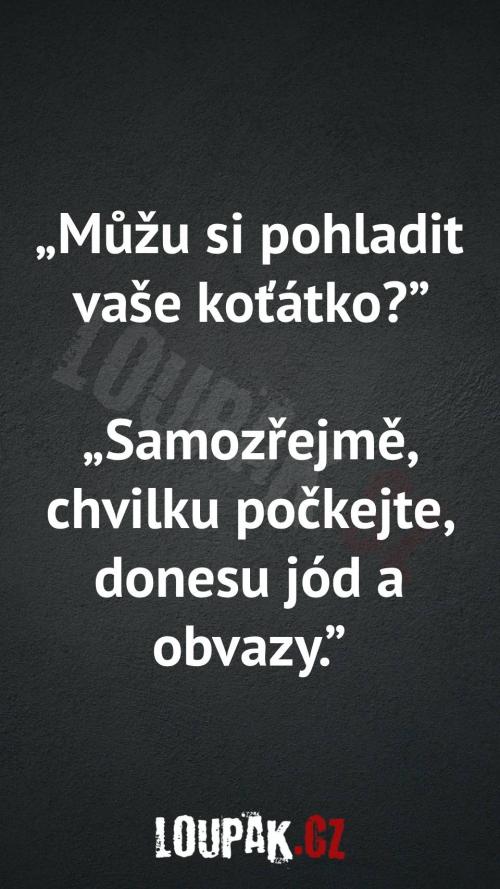 Můžu si pohladit vaše koťátko Můžu si pohladit vaše koťátko