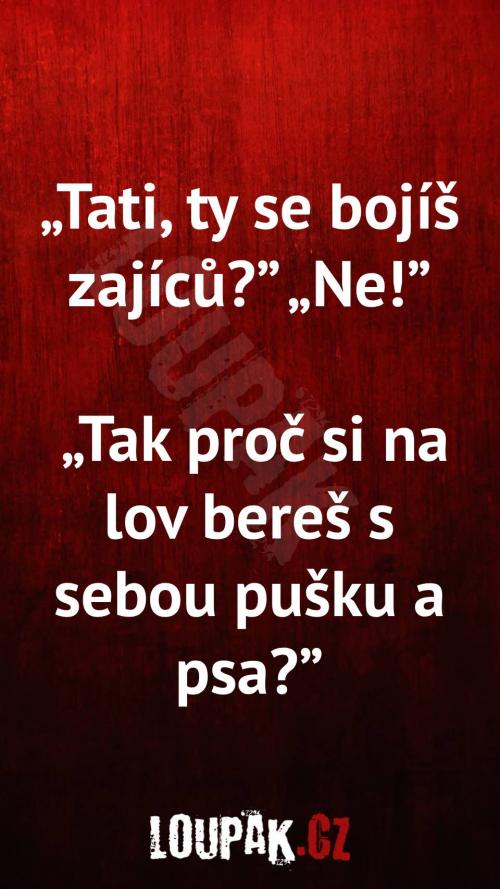 Proč se táta bojí zajíců Proč se táta bojí zajíců