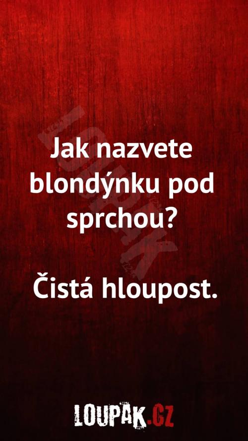  Jak nazvete blondýnku pod sprchou 