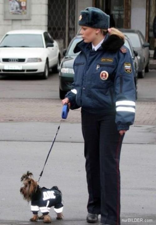  Policejní pes 