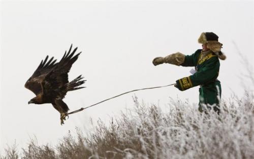  Venčení orla 