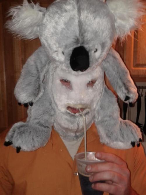  Koala maska 