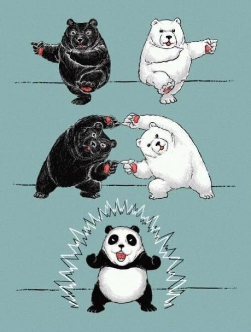  Jak vzniká panda 