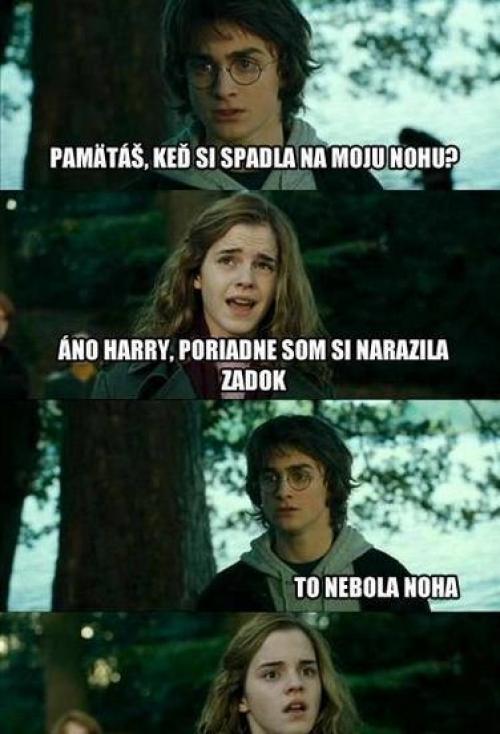  Harry a Harmiona 