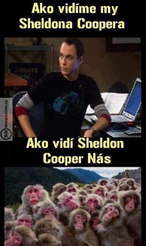 Pravda o Sheldonovi Cooperovi