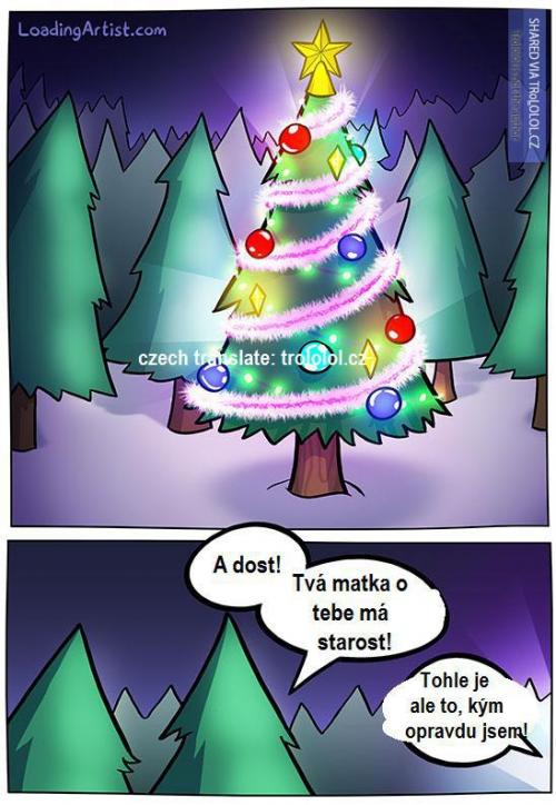  Pravda o vánočním stromku 