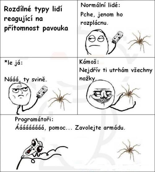 Lidi a pavouk