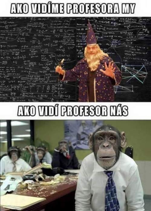 Profesor a my