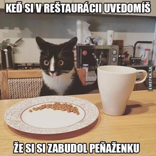  Když zjistíš, že nemáš peněženku 