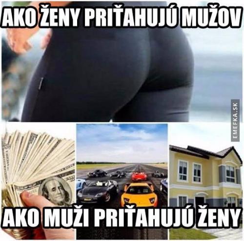  Ženy vs. muži 