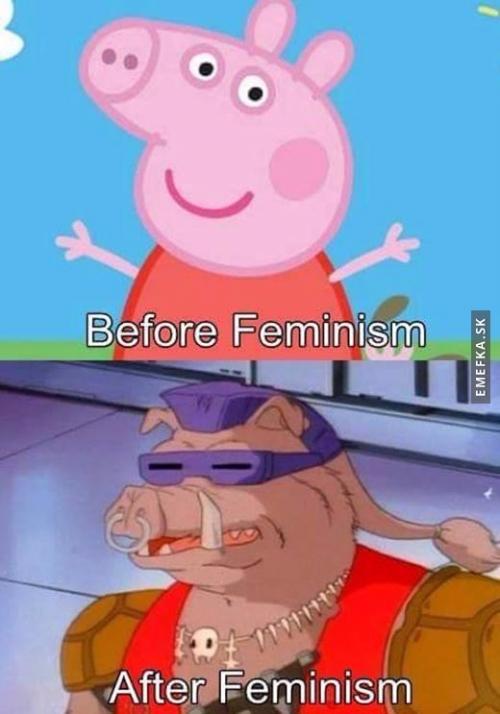 Před a po feminismu