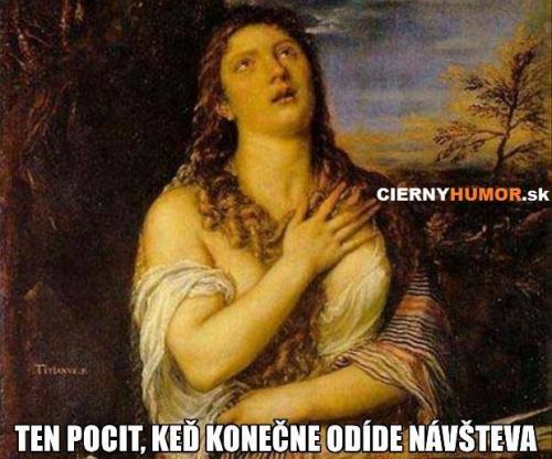  Návštěva 