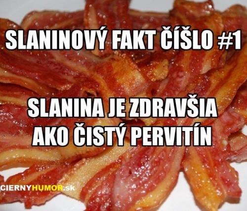  Slaninový fakt 