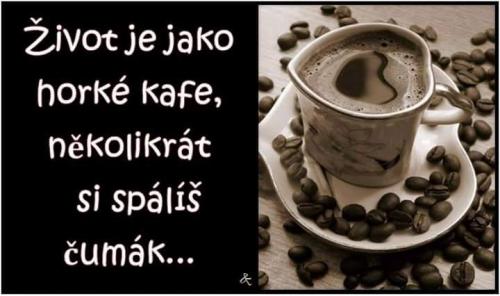  Kafe 