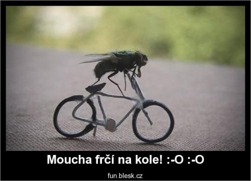  Moucha frčí na kole! 