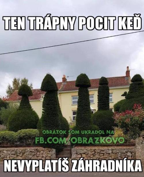 Když nevyplatíš zahradníka