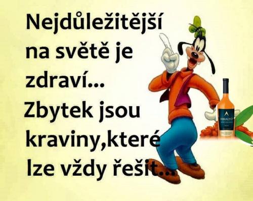  Zdraví 